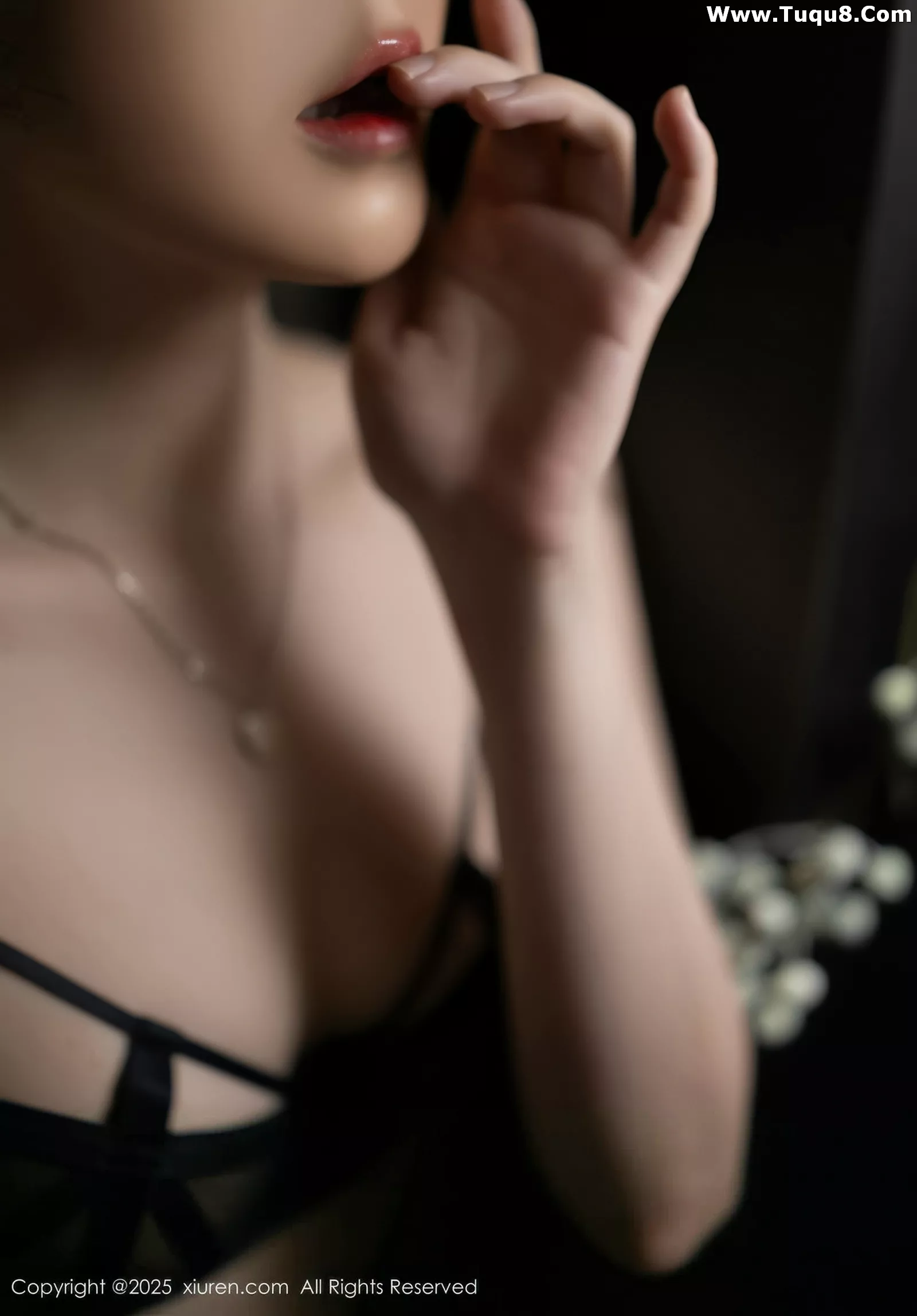 鱼子酱写真